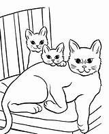 Cat Coloring Pages Printable Kitten Cartoon Little Print Cute Siamese Cats Color Baby Pet Twi Sheet Moms Getdrawings Coloringbay Clipartmag sketch template