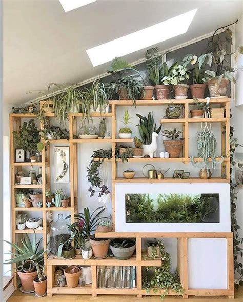atluoluv   indoor plant wall plant decor plant shelves