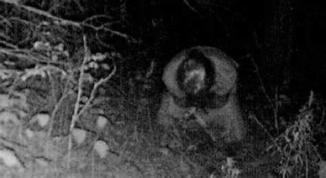 Trail Camera Captures Robed Figure In Forest Freak Lore