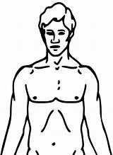 Body Human Drawing Line Diagram Upper Man Template Getdrawings sketch template