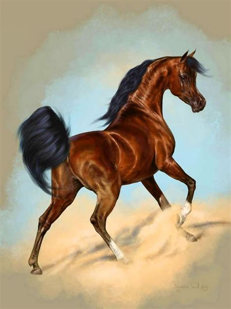 arabian horse horses arabian horse art horse art