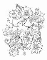 Blumenwiese Ausmalbilder Kleurplaat Vogels Adults Vlinder Coloriage Manila Erwachsenen Embroidery Oiseaux Papillon Volwassen Vogel Mantones Vendido Dibujar Erwachsene sketch template