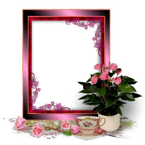 picture frame  image  pixabay