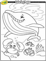 Coloring Pages Crayola Whale Summer Kids Printable Christmas Color Sea Sheets Under Template Print Getcolorings 색칠 Book 도안 여름 Minion sketch template