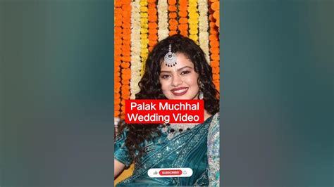 Palak Muchhal Wedding Video Palak Muchhal Marriage Video Shorts