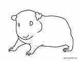 Coloring Pages Guinea Pig Kids Printable sketch template