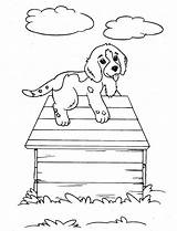 Coloring Puppy Pages Dog sketch template