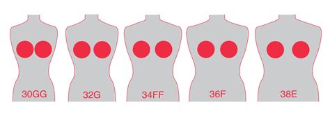 visual bra size diagram