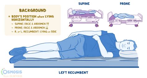 recumbent position    variations   supine position
