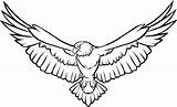 Eagle Elang Burung Soaring Hawk Aves Webstockreview sketch template