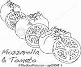 Mozzarella Sliced Margherita sketch template