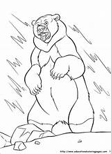 Bear Brother Coloring Pages Coloriage Ours Colorier Des Frere Printable sketch template