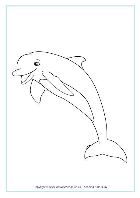dolphin colouring page