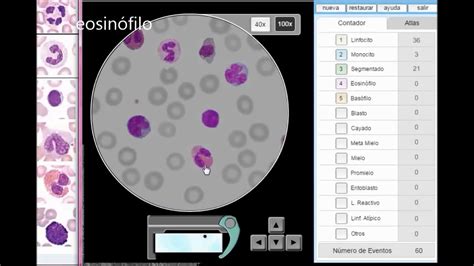 Cuenta De Células Sanguíneas Microscopio Virtual
