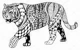 Tiger Zentangle Chinese Zodiac Pattern Illustration Vector Sign Stylized Freehand Ornate Drawn Pencil Hand Stock Coloring Pages Printable Print Signs sketch template