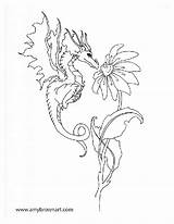 Coloring Pages Fairy Dragon Amy Brown Adult Adults Dragons Fairies Book Choose Board Fantasy sketch template