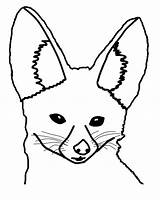Desert Fox Drawing Coloring Head Pages Animals Face Netart Animal Getdrawings Drawn Templates Sketch Template sketch template