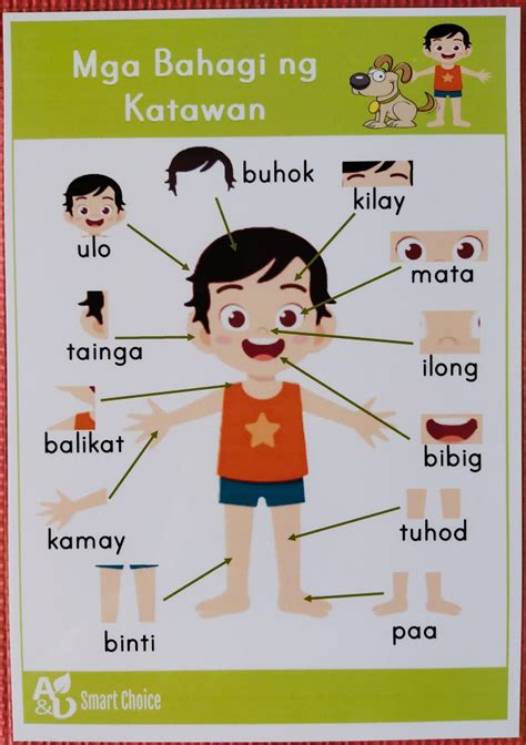 laminated educational chart bahagi ng katawan chart boy  girl  size lazada ph