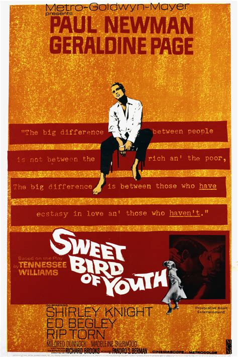 Sweet Bird Of Youth 1962 Rotten Tomatoes