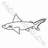 Bull Shark Coloring Pages Click Getdrawings Drawing sketch template