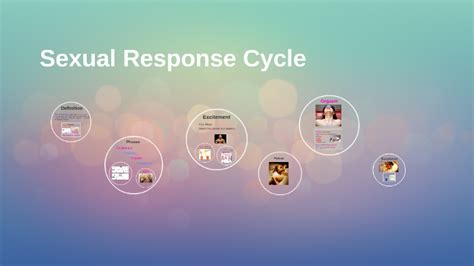 sexual response cycle by c d