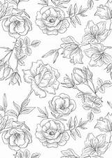 Floral Pages Colouring Sheets Printable Coloring Flower Adult Pattern Wallpaper Drawing Printables Flowers Color Patterns Gatheringbeauty Vintage Beautiful Illustration Colour sketch template