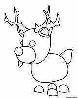 Coloring Reindeer Pages Adopt Printable sketch template