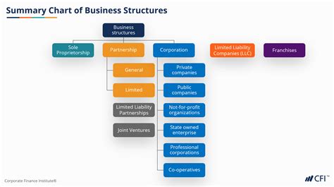 business structure   cfi