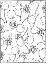 Coloring Cherry Pages Cherries Flowers Printable Blossom Pattern Clipart Categories Drawing Similar Library Popular Book sketch template