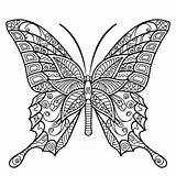 Butterfly Borboletas Desenho Borboleta Swallowtails Colouring Borboletinhas Cura Insect Imprima Fazer sketch template