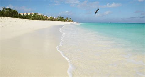 aruba travel  reasons    visit  happy island