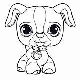 Colouring Puppies sketch template