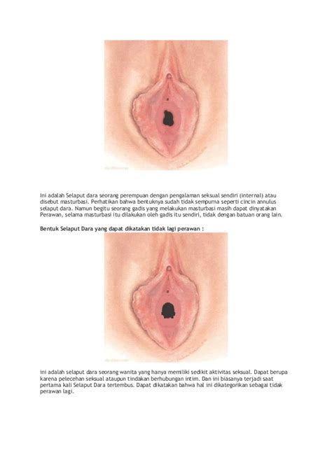 Gambar Vagina Perawan Sexy Amateurs Pics