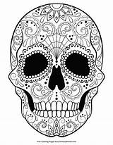Ausmalbilder Erwachsene Skulls Totenkopf Colouring Muertos Leukste Doodshoofd Witch Malvorlagen Pompoen Calaveras Primarygames Masque Ausmalen Malvorlage Drucken Mexicanas Candy Mamakletst sketch template