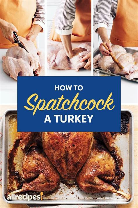 thanksgiving turkey recipes whole turkey recipes thanksgiving