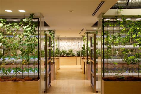 indoor underground urban farms  growing