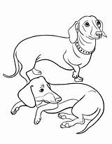 Coloring Dachshund Pages Dog Printable Weiner Sheets Adult Colouring Sausage Puppy Dogs Coloringcafe Drawing Color Dachshunds Doxie Long Applique Print sketch template