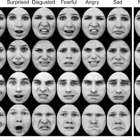 Sample Karolinska Directed Emotional Faces Kdef Pictures Used In The