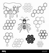 Panal Abejas Abeja Animadas sketch template