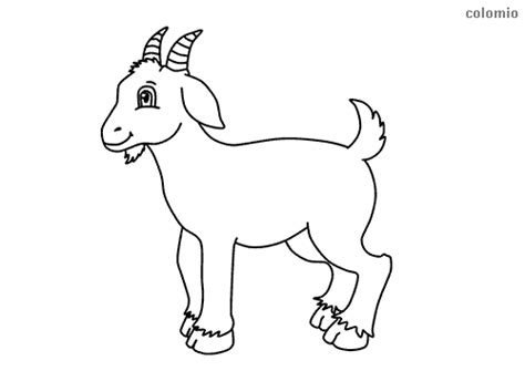 billy goat coloring pages