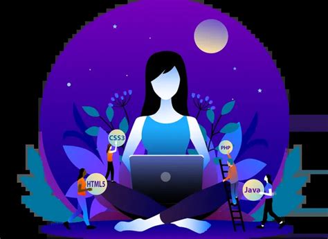 women web developer  laptop illustration seo web