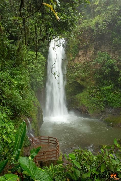 Waterfall Garden Park Costa Rica Liana Toth
