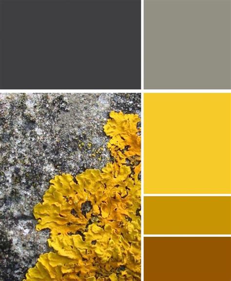 This Colour Scheme Is Great The Beauty Of Nature The Grey Tones Work