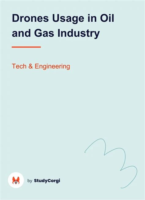 drones usage  oil  gas industry  essay