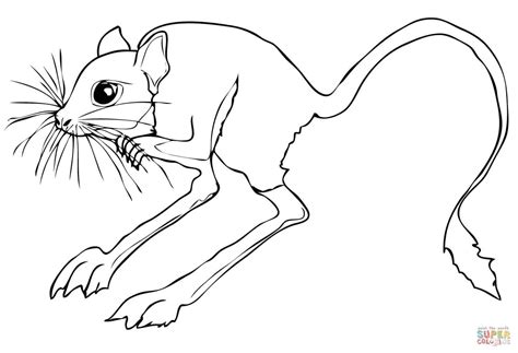 desert animals coloring pages wickedgoodcause
