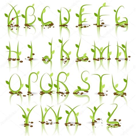 alphabet    green grass  beans