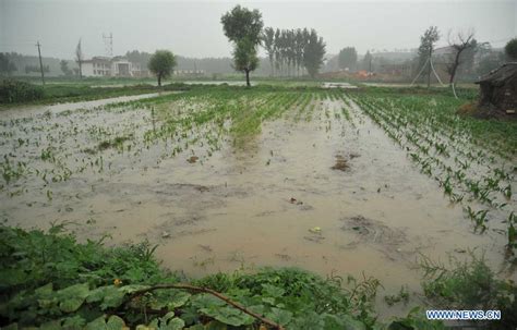 Heavy Rainstorm Hit Shanxi People S Daily Online