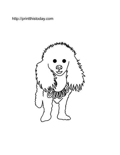 printable pet animals coloring pages