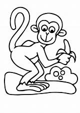 Coloring Banana Monkey Pages Baby Printable Coloring4free Color Kids Print Split Cute Getcolorings Animal Playing Choose Board Funny sketch template