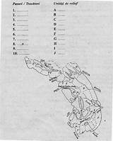 Orientali Carpatii Harta Geografie Suceava Isj Inspector Scolar sketch template
